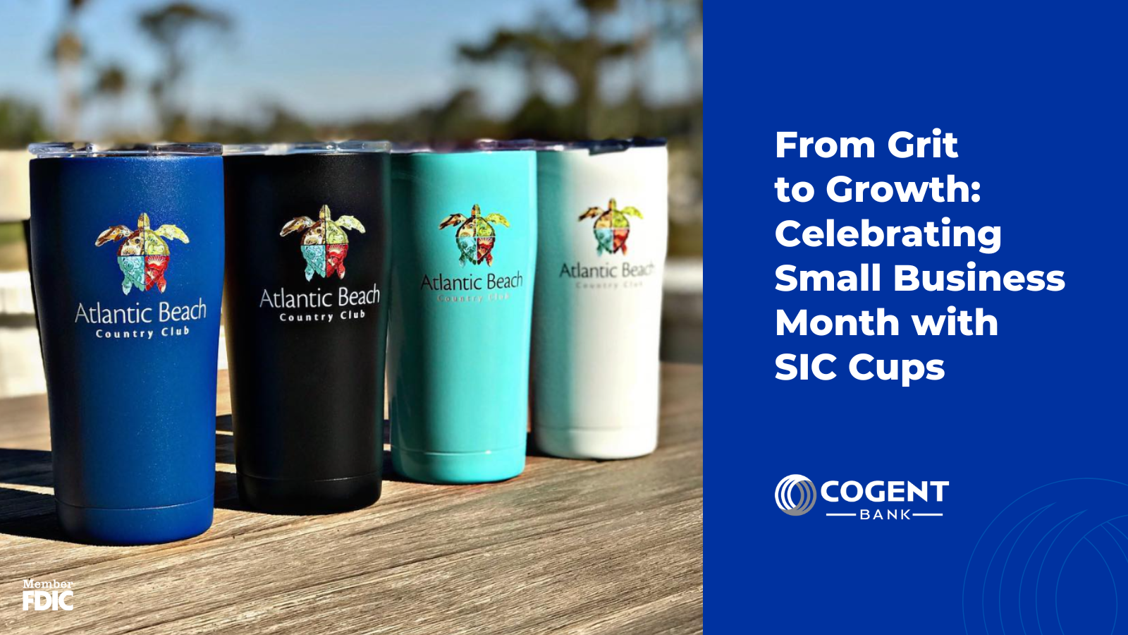 From Grit to Growth: Celebrating Small Business Month with SIC Cups